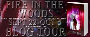 Fire-in-the-Woods-Banner
